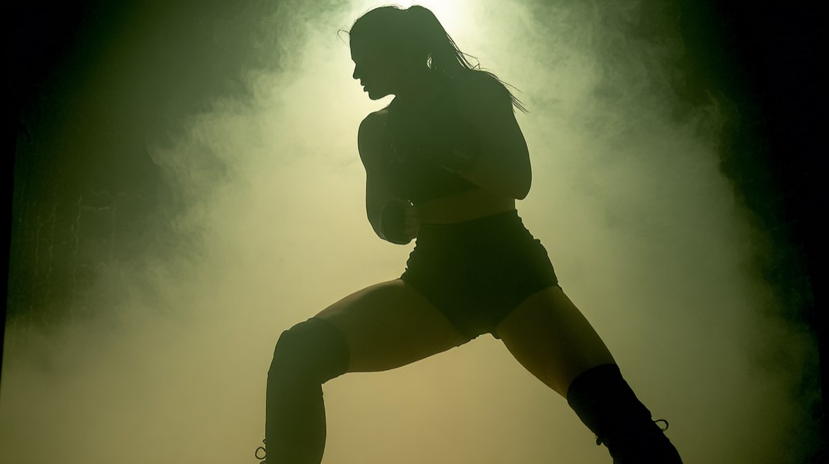 Championnat de France de Savate Boxe française