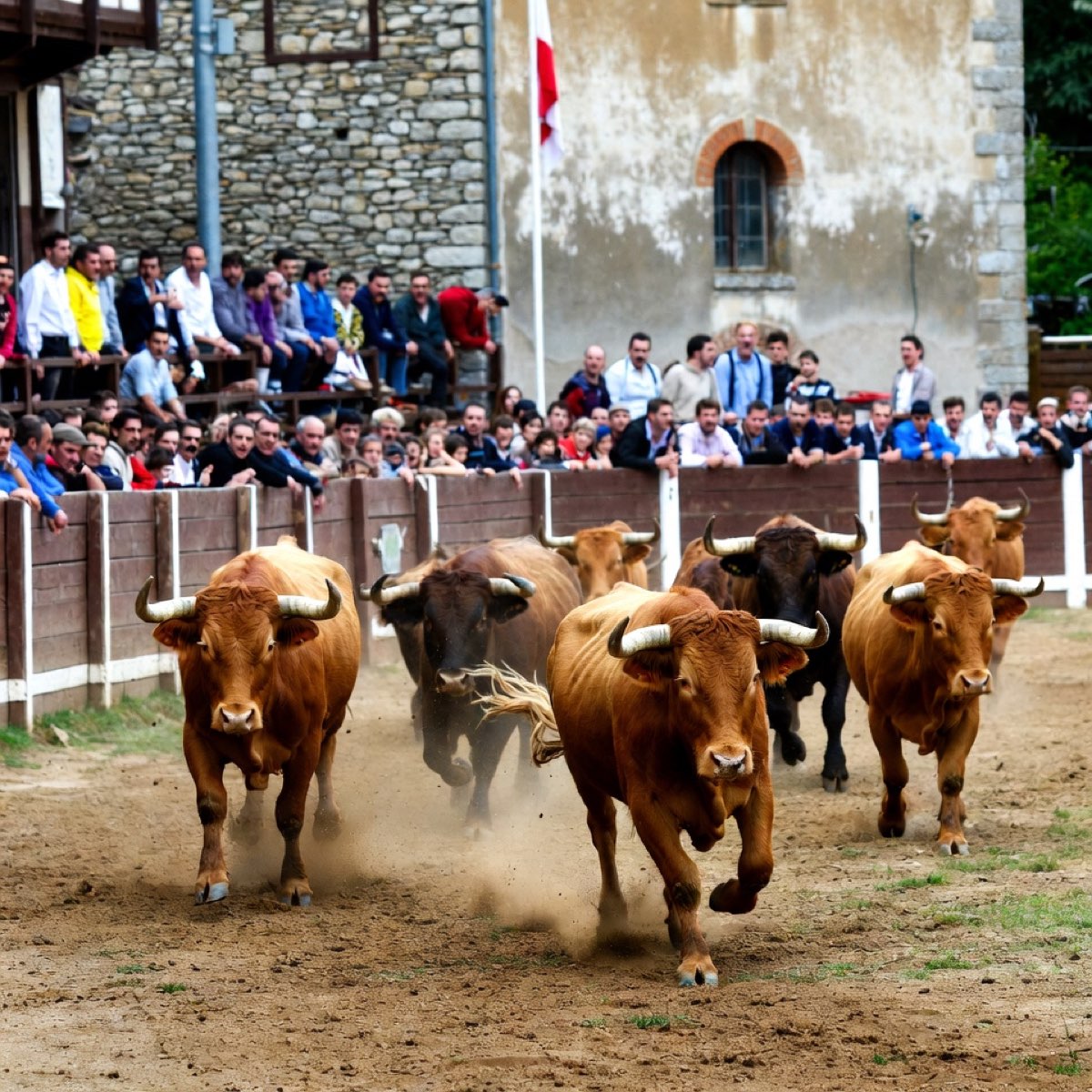 TOROS PISCINE JACKPOT