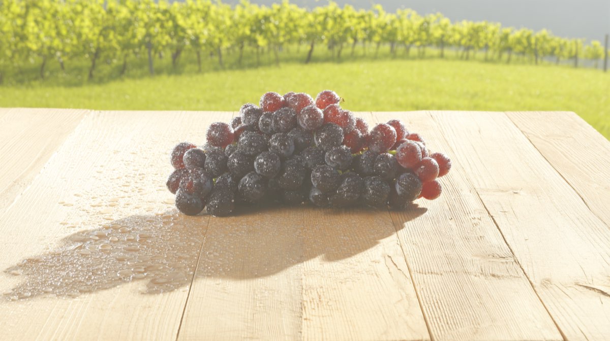 Pique-Nique des Vignerons Indépendants au Château de La Viaudière