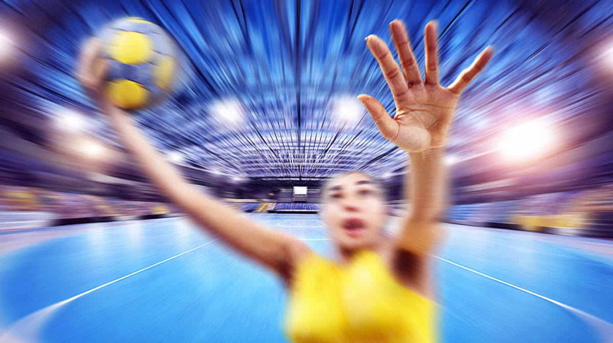 Brocante de L'Amicale Laique la Guerche handball