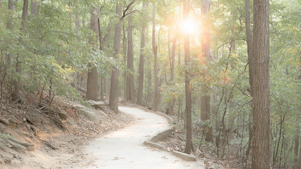 Balade sur les plantes sauvages comestibles : les Rendez-Vous Nature en Anjou