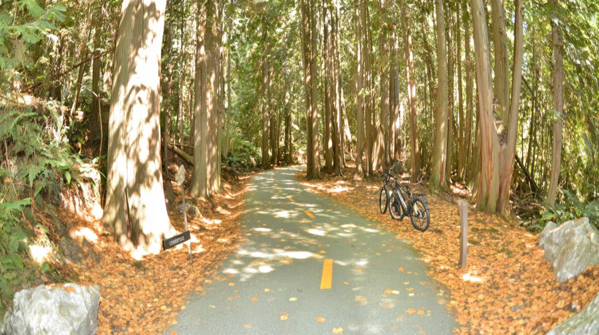 Randonnée pédestre