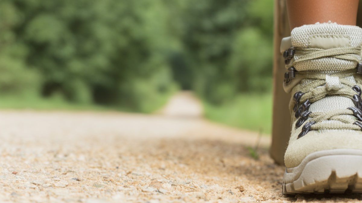 Randonnée accompagnée avec 1 âne
