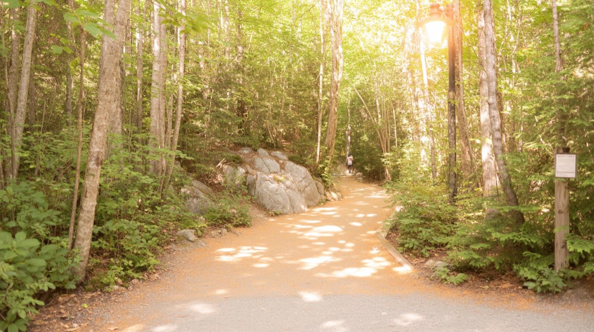 Les balades passerelles