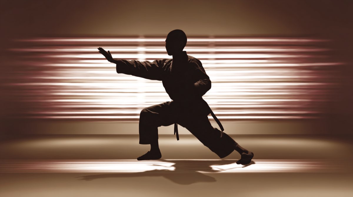 Stage multi-activités Judo