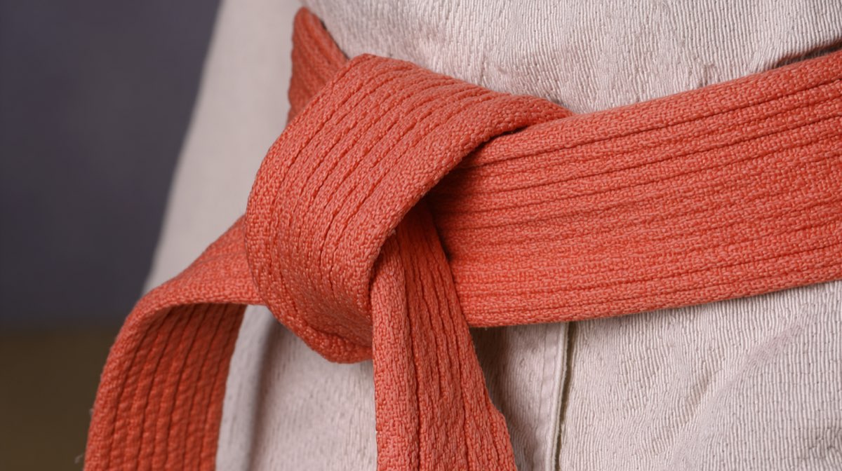 Stage multi-activités Judo