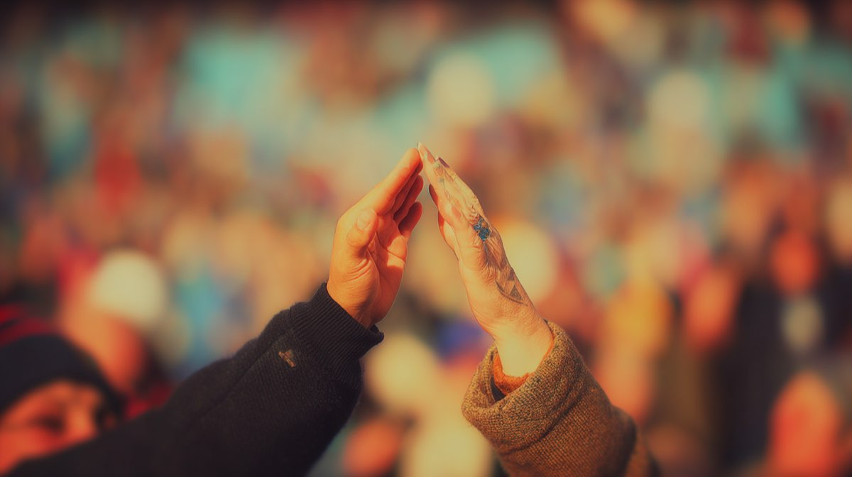 Sortie nature : À la rencontre des insectes du Fond Mont Joye