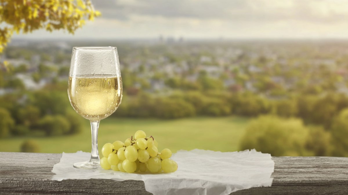 Escapades Viticool - Balade commentée dans le vignoble "Le Trésor d'Anjou"