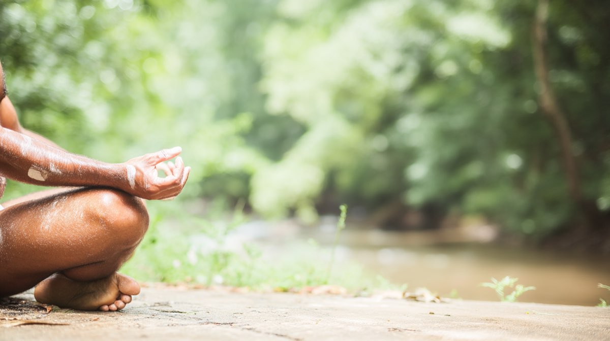 Cours de Yoga : Hatha et Vinyasa